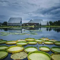 富山県中央植物園の写真・動画_image_1191821