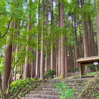 霧島ホテルの写真・動画_image_1193641