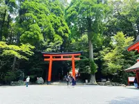 霧島神宮の写真・動画_image_1193644