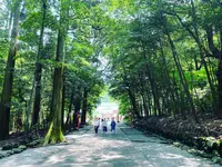 霧島神宮の写真・動画_image_1193645