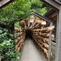 川越氷川神社の写真・動画_image_1194432