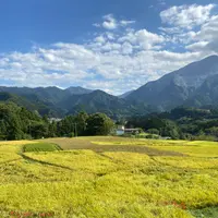 横瀬町の寺坂棚田の写真・動画_image_1195375