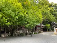 秩父神社の写真・動画_image_1195382
