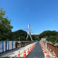 旧秩父橋の写真・動画_image_1195389