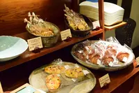 龍泉荘 奥の院 木もれ陽の写真・動画_image_1195435
