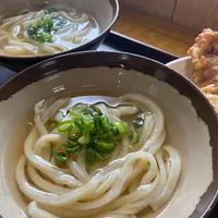 山内うどん店の写真・動画_image_1199894