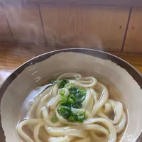山内うどん店の写真・動画_image_1199895