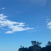 桂浜の写真・動画_image_1199910
