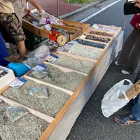 日曜市の写真・動画_image_1201475