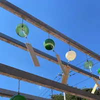 川越氷川神社の写真・動画_image_1206534