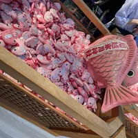 川越氷川神社の写真・動画_image_1206535