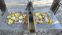 川越八幡宮の写真・動画_image_1206537
