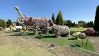 東武動物公園の写真・動画_image_1206545