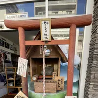 ナチュリーラの写真・動画_image_1206554