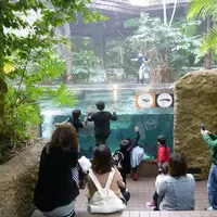 若狭たかはまエルどらんどの写真・動画_image_1209010
