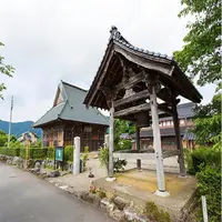国分寺の写真・動画_image_1209764