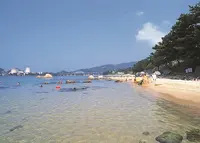 丹生白浜海水浴場の写真・動画_image_1211908