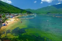 名子海水浴場の写真・動画_image_1212887