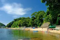 杉津海水浴場の写真・動画_image_1212945