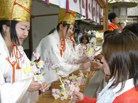金崎宮の写真・動画_image_1213035