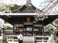 金崎宮の写真・動画_image_1213036