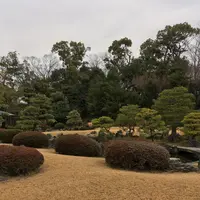 元離宮 二条城の写真・動画_image_1214262