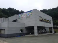 きのこの森の写真・動画_image_1216735