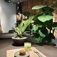 CAFÉ Tarot (カフェタロー)の写真・動画_image_1217104