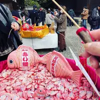 川越氷川神社の写真・動画_image_1217772
