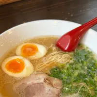 博多 あか星の写真・動画_image_1219714