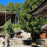 日吉大社の写真・動画_image_1221943