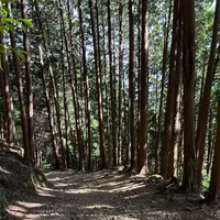 日吉大社の写真・動画_image_1221946