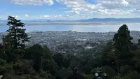 日吉大社の写真・動画_image_1221949