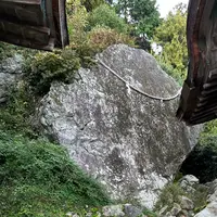 日吉大社の写真・動画_image_1221950