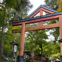 日吉大社の写真・動画_image_1221955