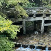 日吉大社の写真・動画_image_1221956