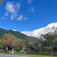 日吉大社の写真・動画_image_1221961