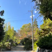 日吉東照宮の写真・動画_image_1221969