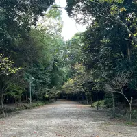 近江神宮の写真・動画_image_1222010