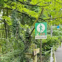 御岳渓谷の写真・動画_image_1223376