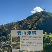 奥多摩湖の写真・動画_image_1223491