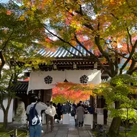 永観堂（禅林寺）の写真・動画_image_1225109