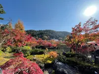 永観堂（禅林寺）の写真・動画_image_1225110