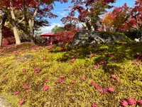 永観堂（禅林寺）の写真・動画_image_1225111