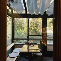 山鳩の写真・動画_image_1230829