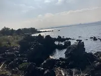 桜島溶岩なぎさ公園＆足湯の写真・動画_image_1232727