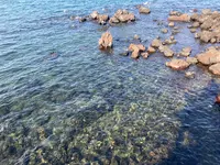 桜島溶岩なぎさ公園＆足湯の写真・動画_image_1232728