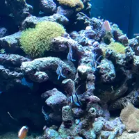 みなとやま水族館の写真・動画_image_1240940