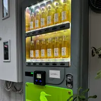 伊良コーラ渋谷店の写真・動画_image_1242667
