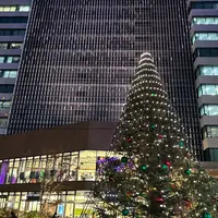 TRUNK (HOTEL)の写真・動画_image_1242672